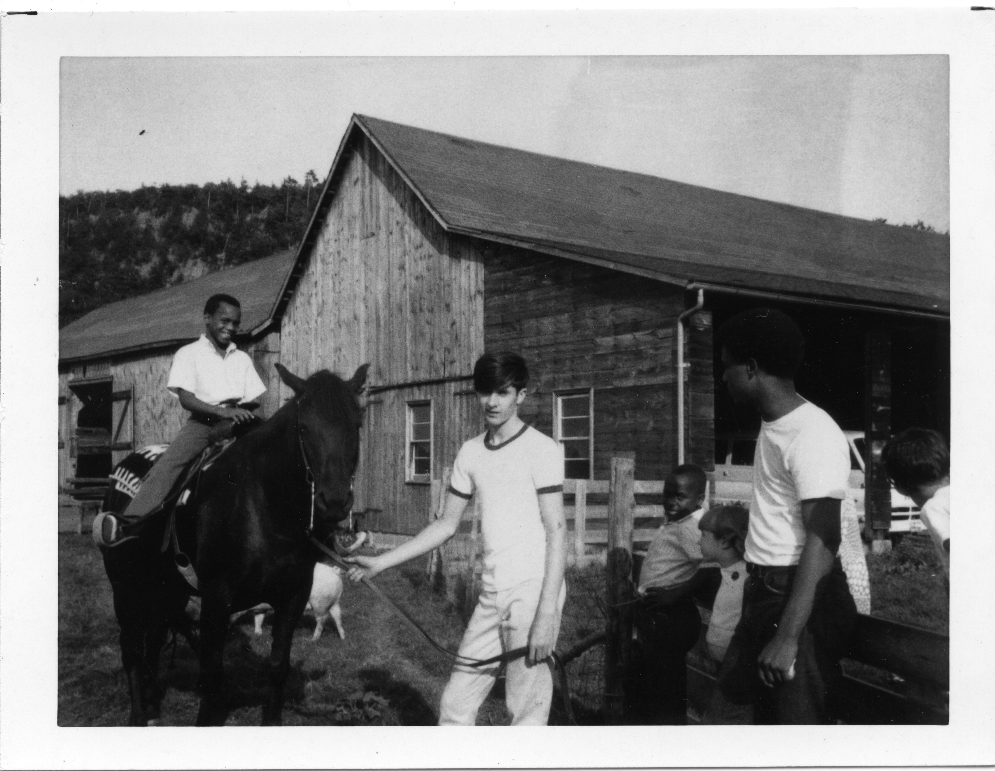 Carousel image 6