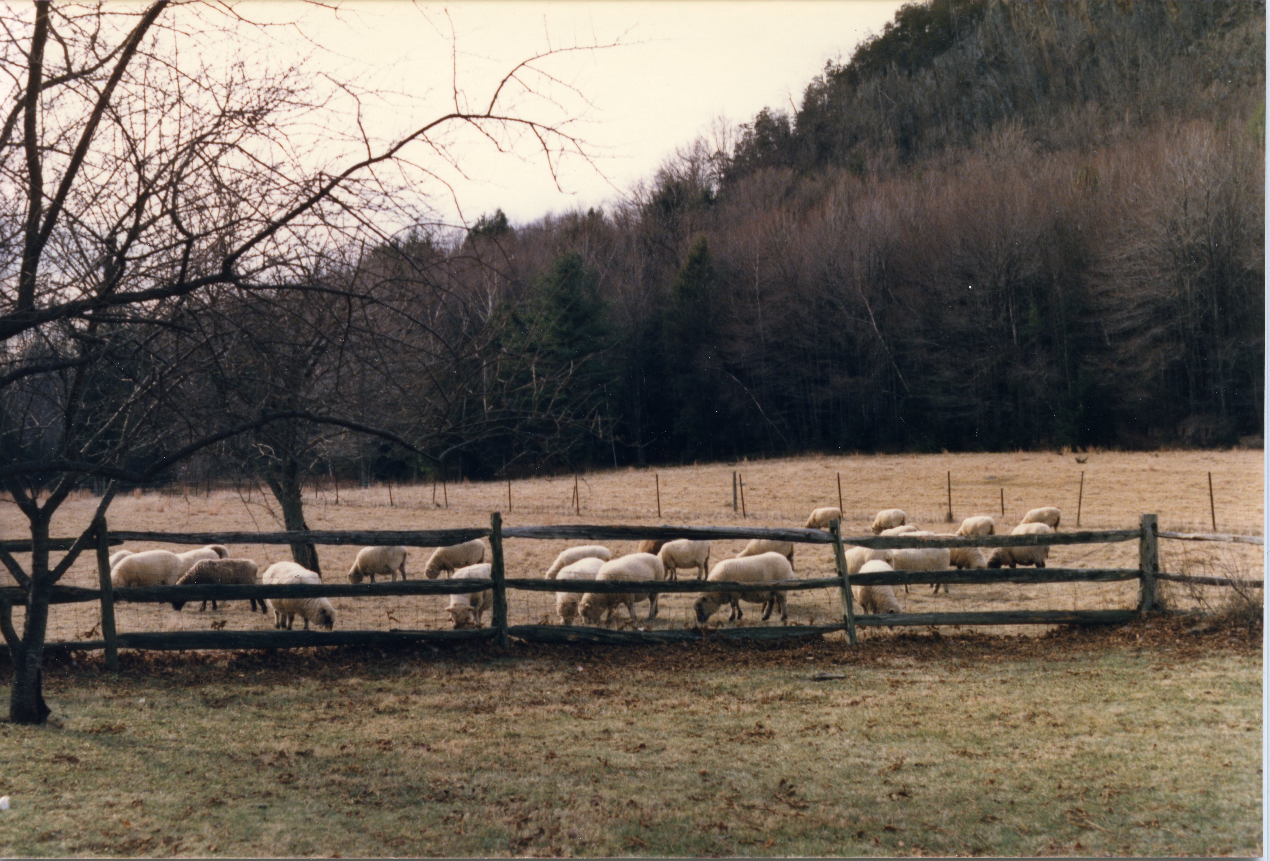 Carousel image 8