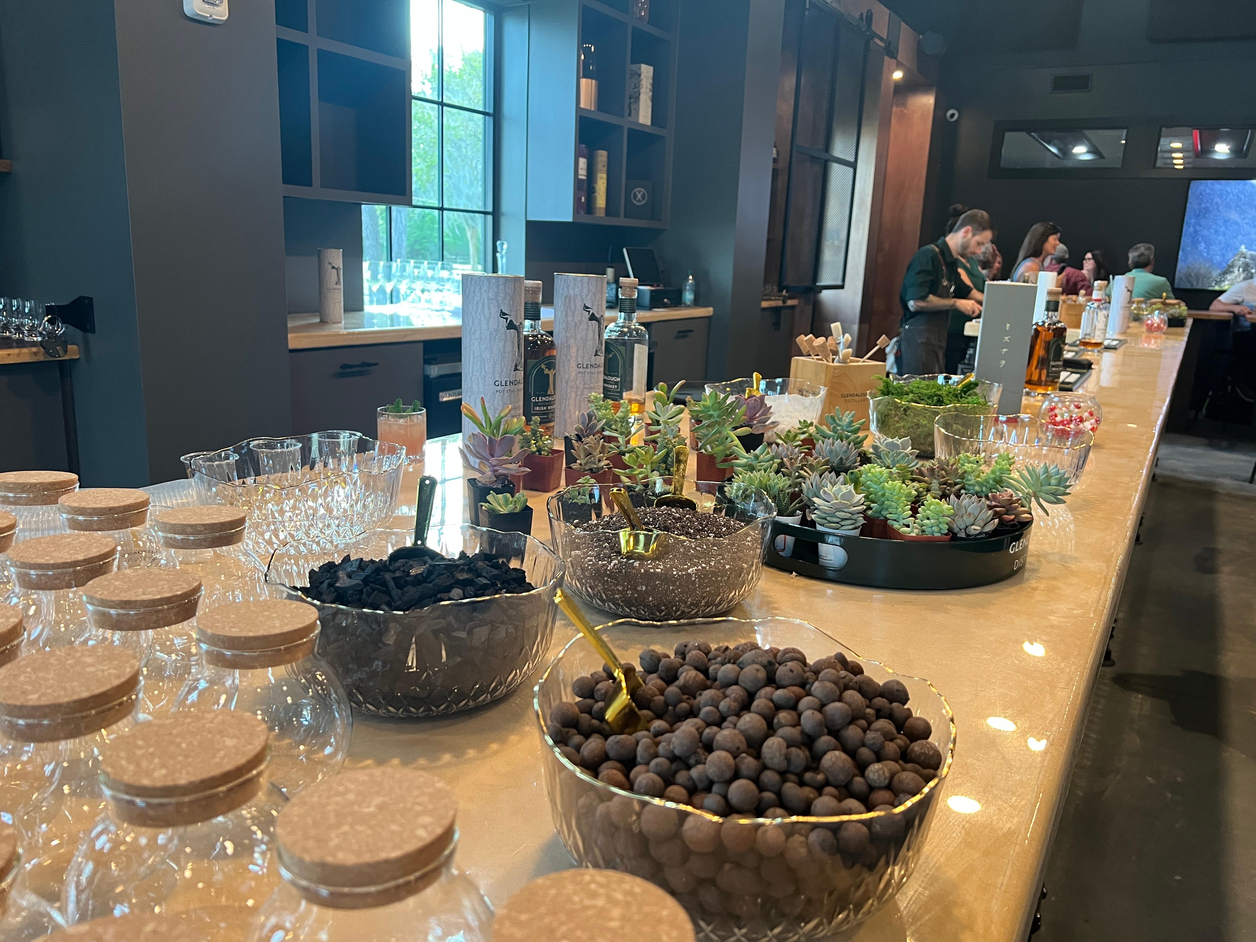 Bowls with different styles of dirt, moss and other plant soil with succulants
