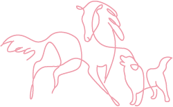 Hound and Mare