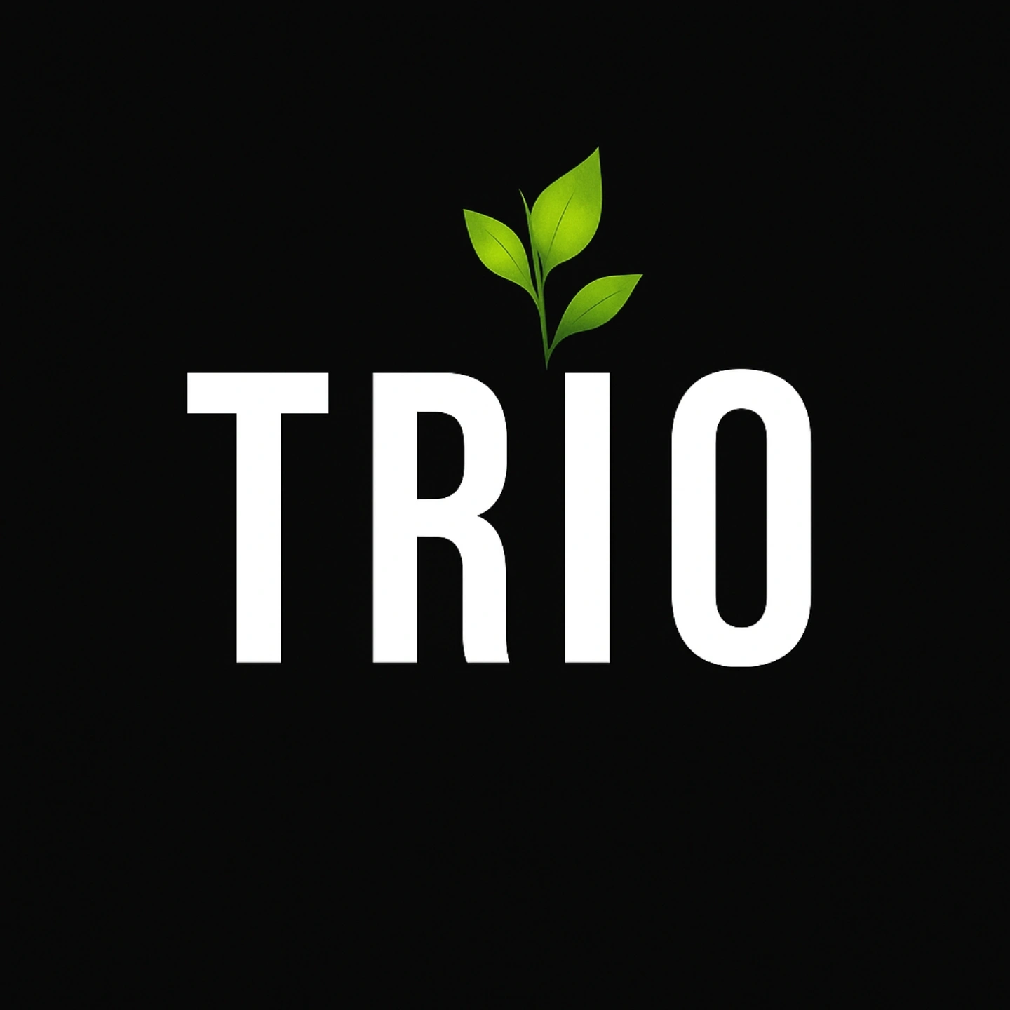 Trio Restaurant